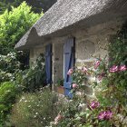 Thatched Roof Cottage with Purple Flowers and Blue Doors