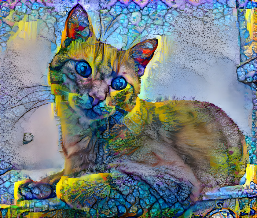 Crystal cat