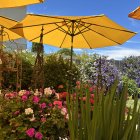 Colorful painting of sunny garden with blooming flowers and yellow umbrellas