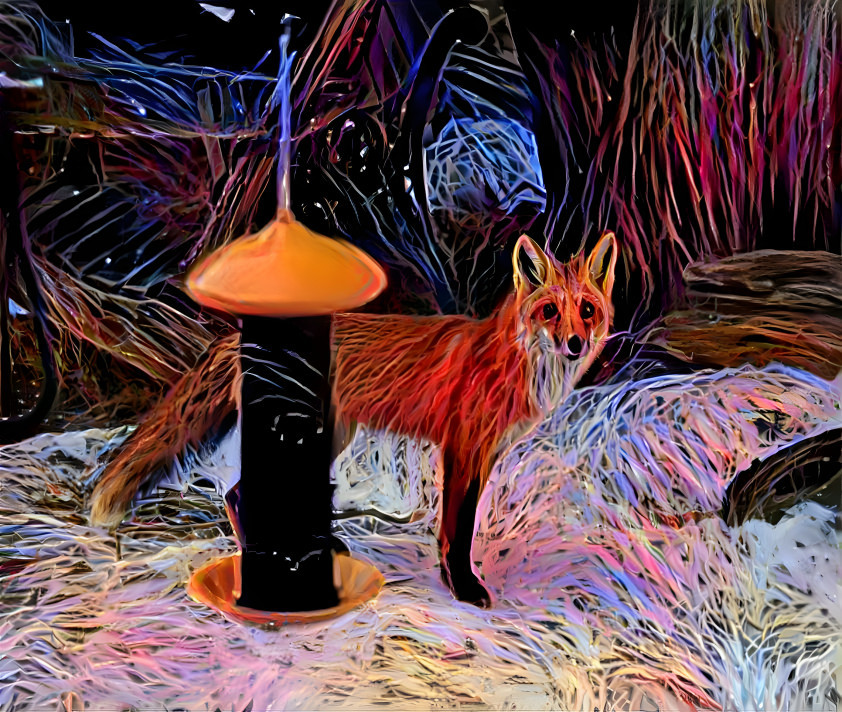 Fox 