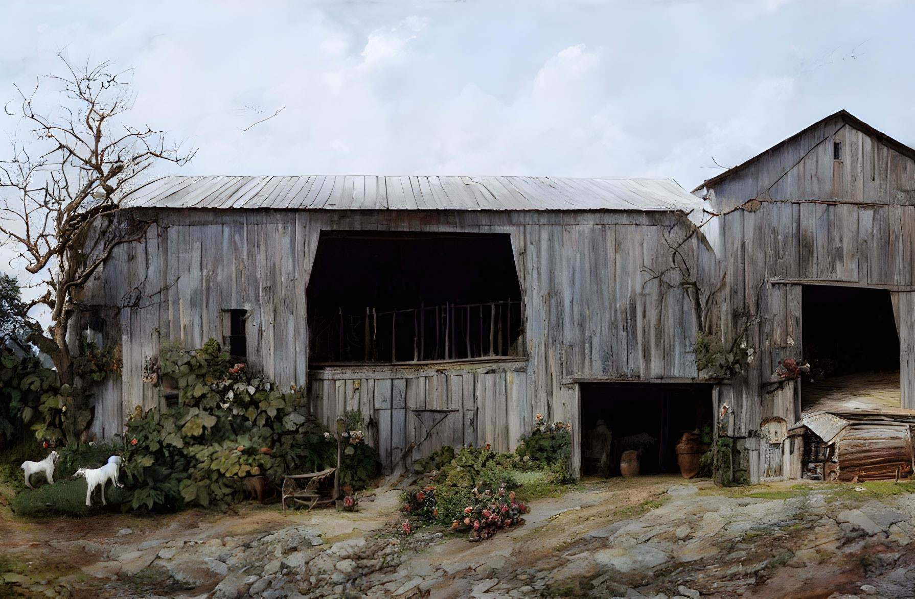 Rustic wooden barns with goat, overgrown plants, open doors, dark interiors, cloudy