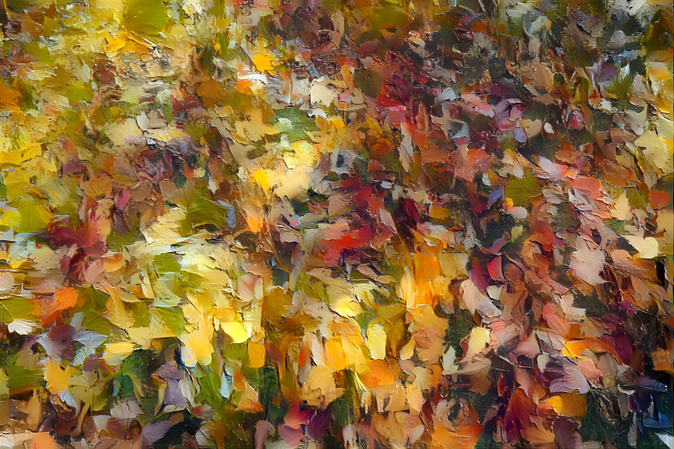 Fall Leaves 