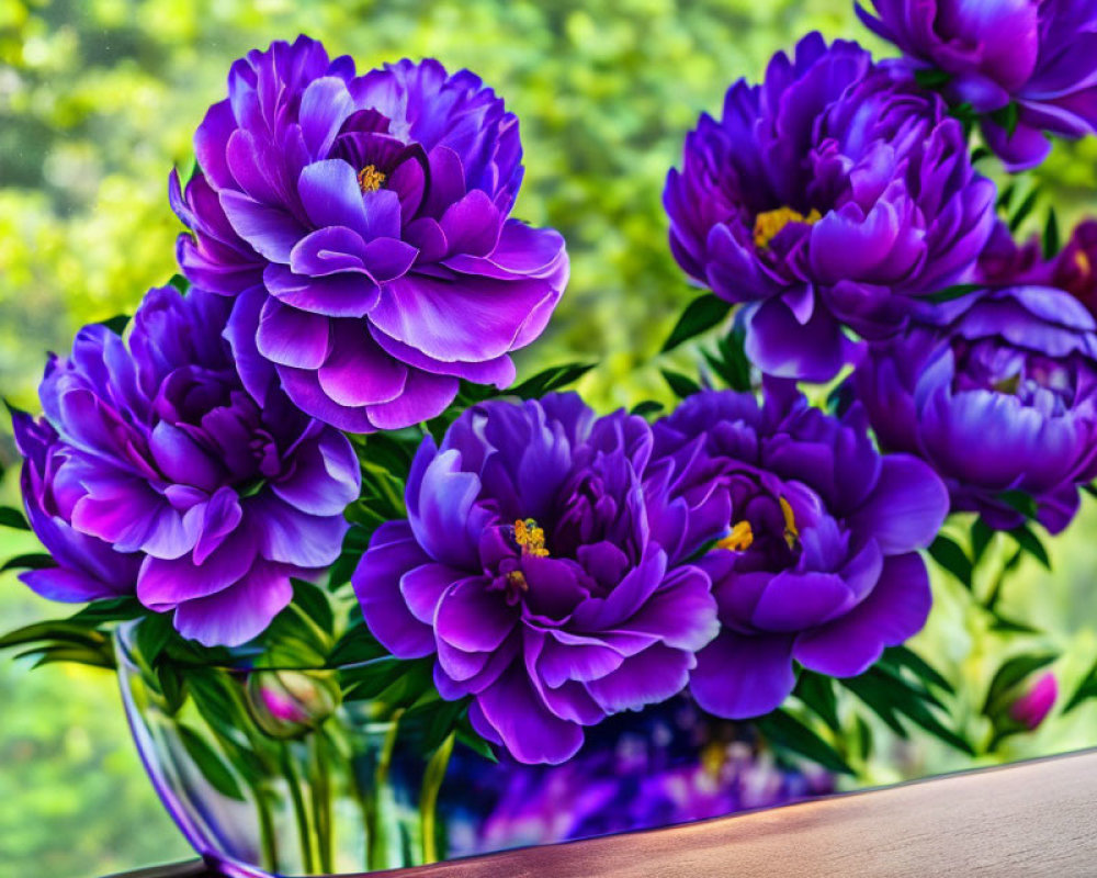 Lush Purple Peonies in Clear Vase on Blurred Background