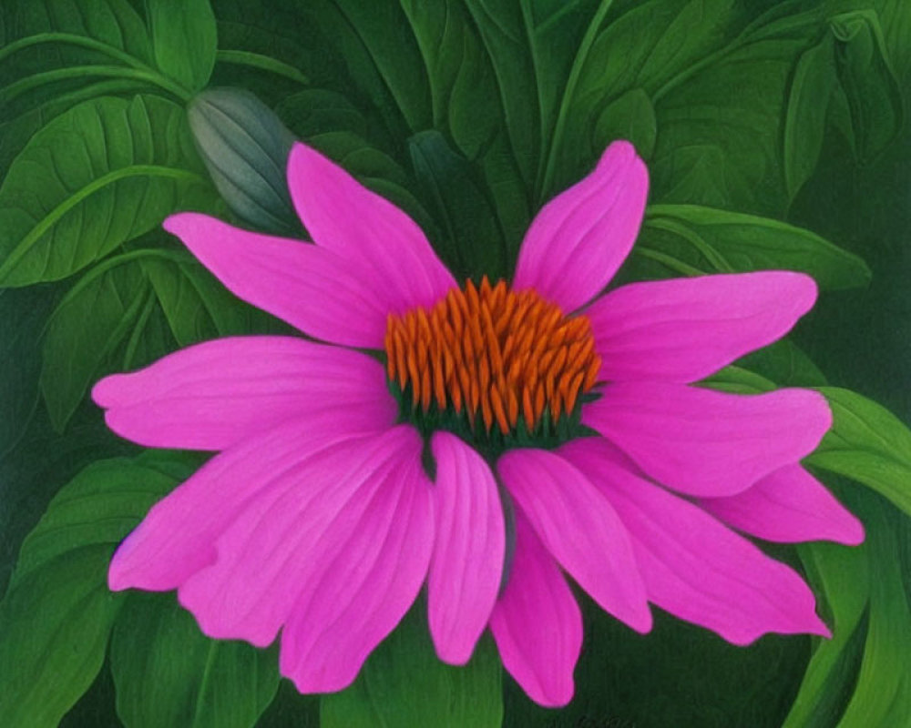 Vivid painting of pink coneflower with orange center and green leaves