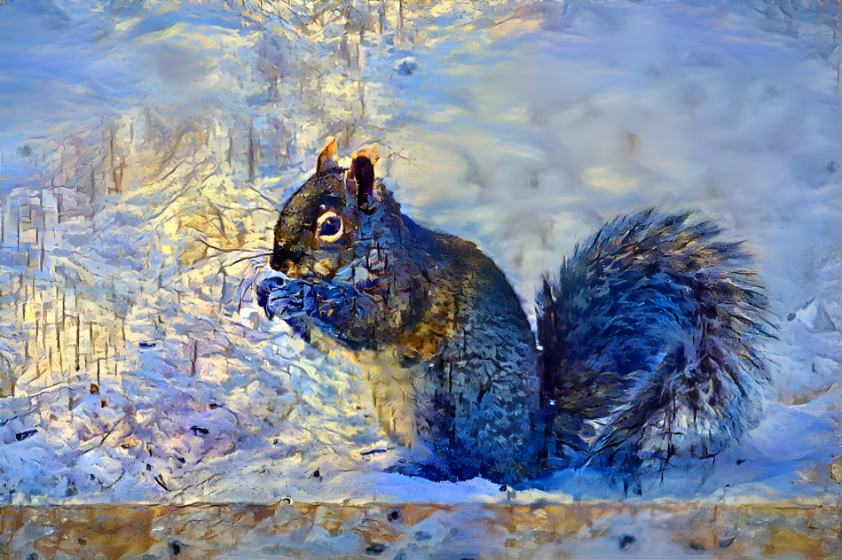 Gray Squirrel 