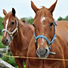 Colorful Patchwork Horses in Whimsical Landscape