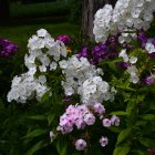 Colorful hydrangea flowers in blue, purple, and pink in glass jars on dark shelf