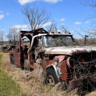 Abandoned vintage cars in blooming field under blue sky