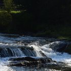 Tranquil waterfall in mystical forest with sunlight filtering through canopy