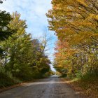 Tranquil Autumn Landscape with Winding Path and Trees