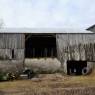 Rustic wooden barns with goat, overgrown plants, open doors, dark interiors, cloudy