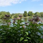 Tranquil landscape with green hill, river, spires, and birds