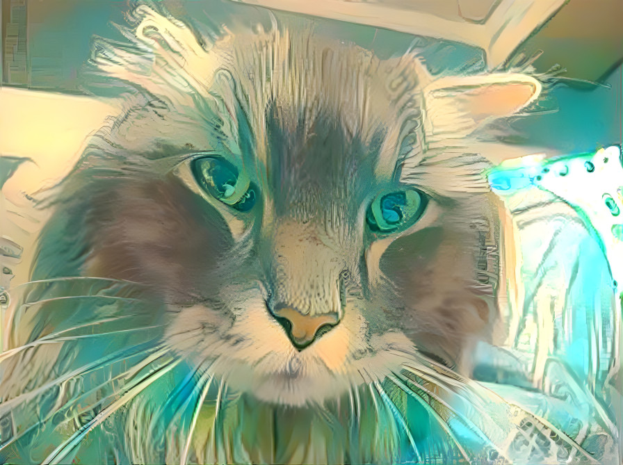 Van Gogh the Cat 1