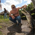Man Feeding Alligator in Sunny Grassy Environment