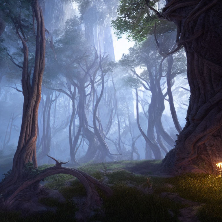 Enchanting Forest Scene with Towering Trees and Ethereal Fog
