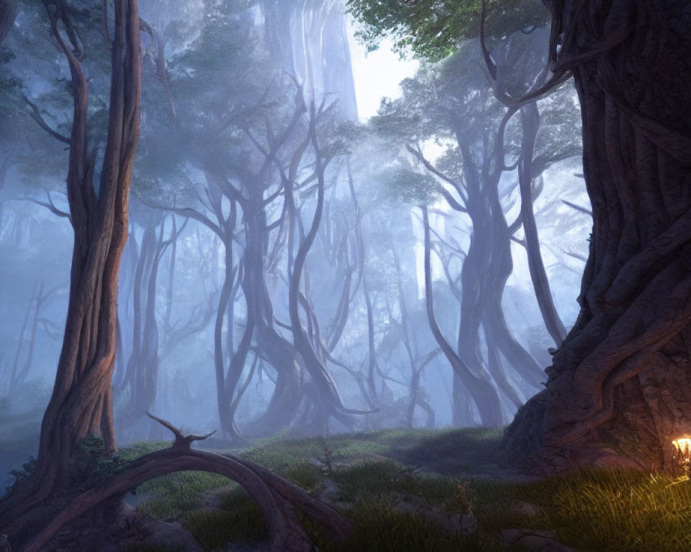 Enchanting Forest Scene with Towering Trees and Ethereal Fog