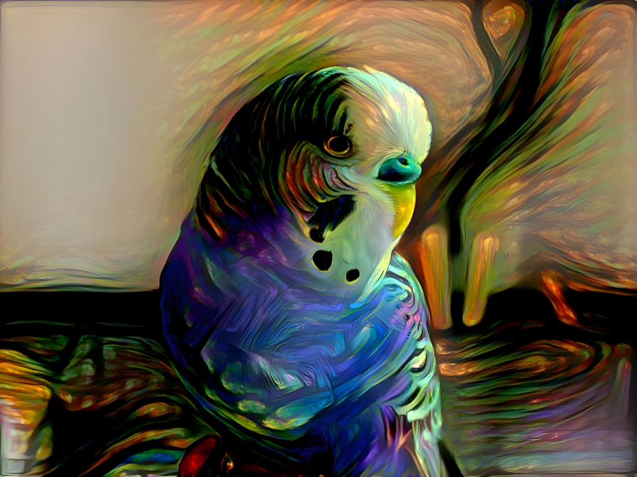 Blue Parakeet