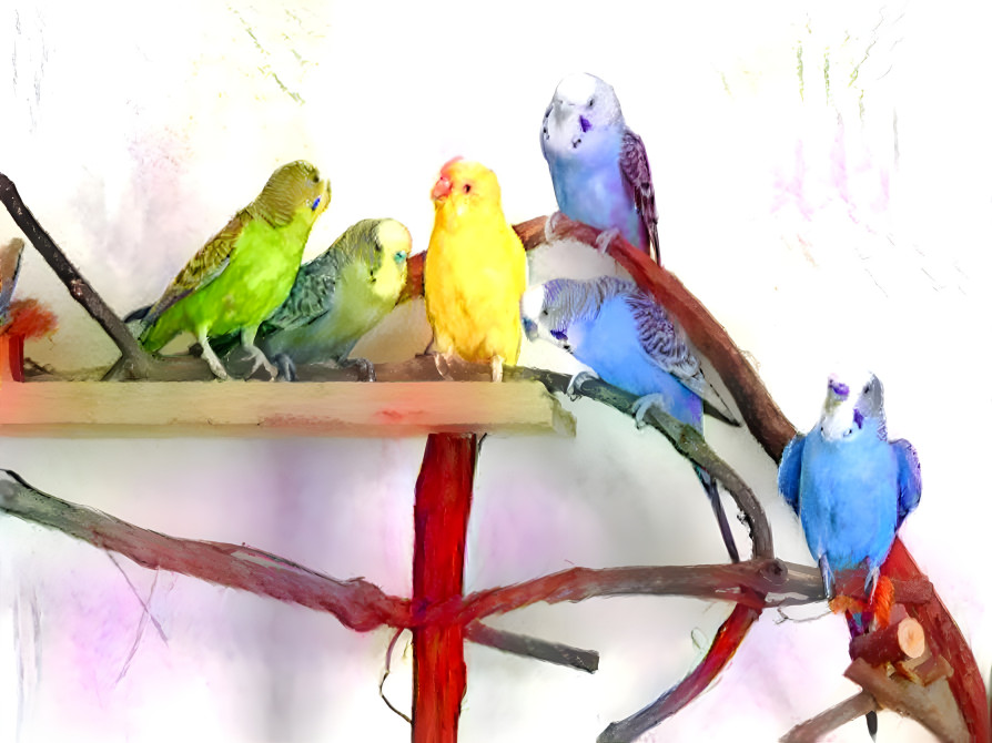 Watercolor budgies