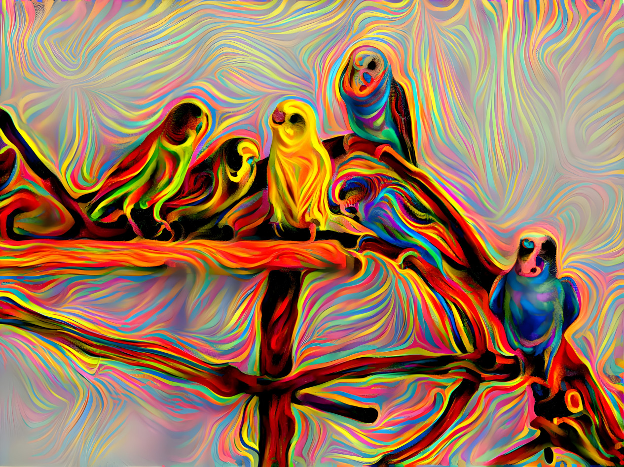 Six Parakeets