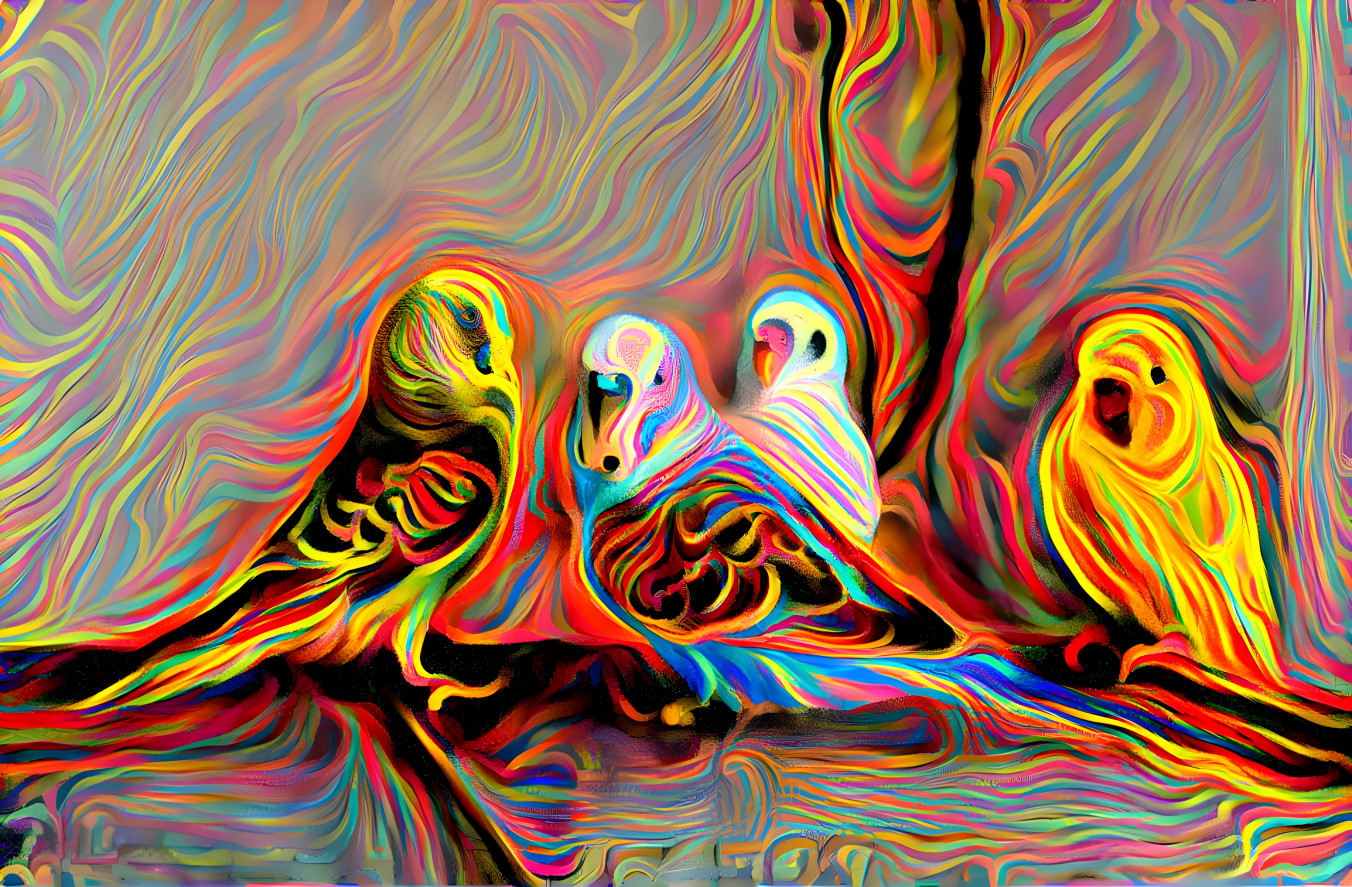 Four Parakeets