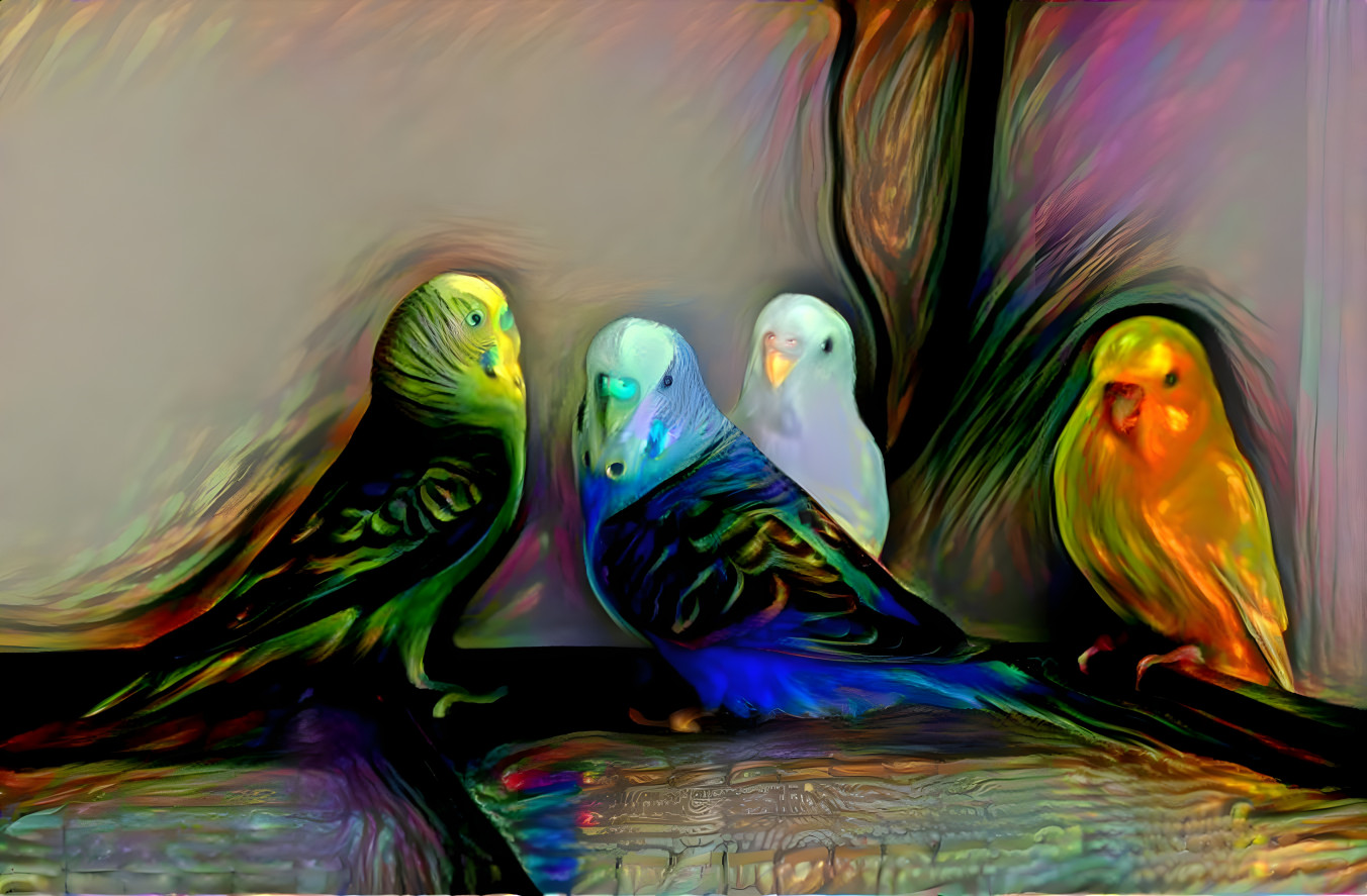 Four Parakeets