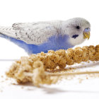 Sparkling Blue and White Artificial Bird with Gold Beads on White Background