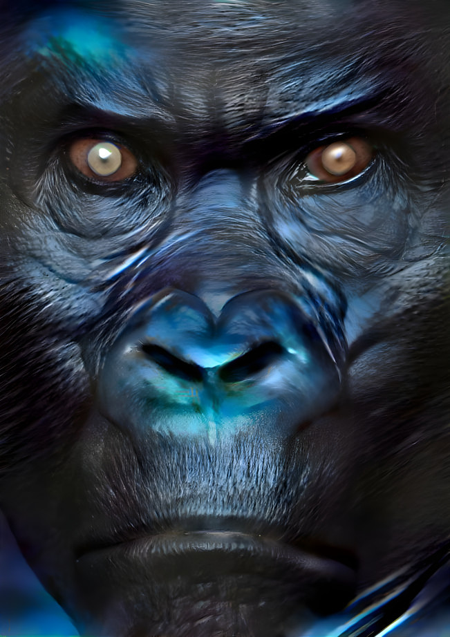 Ape