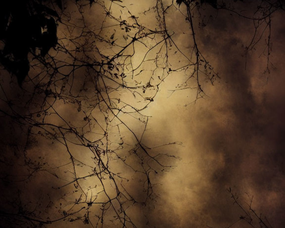 Dark Forest Silhouettes Against Sepia Background with Mysterious Light