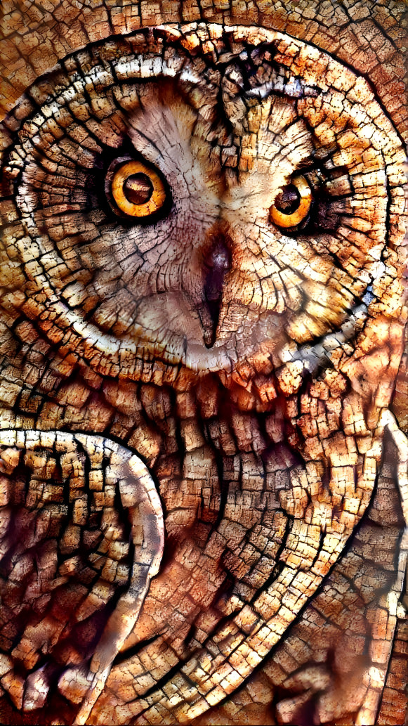 Owl