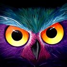 Vibrant Owl Artwork with Blue and Purple Feathers