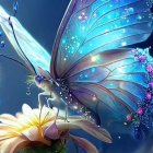 Digital Artwork: Blue Butterfly on White Daisy with Soft-focus Background