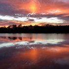 Winter Sunset: Orange and Pink Hues Reflecting on Still Lake