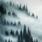 Serene misty forest with layered hills and falling snowflakes