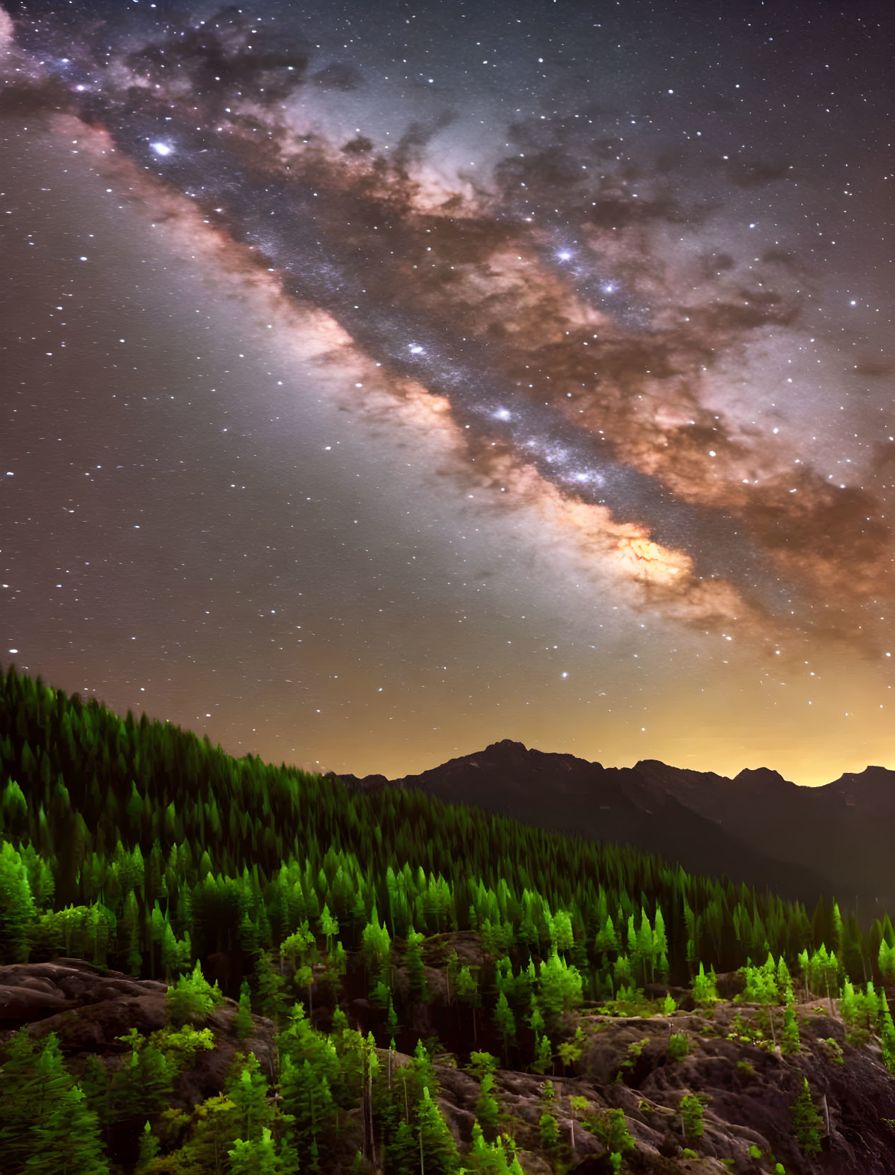 Starry night sky over pine forest with mountains