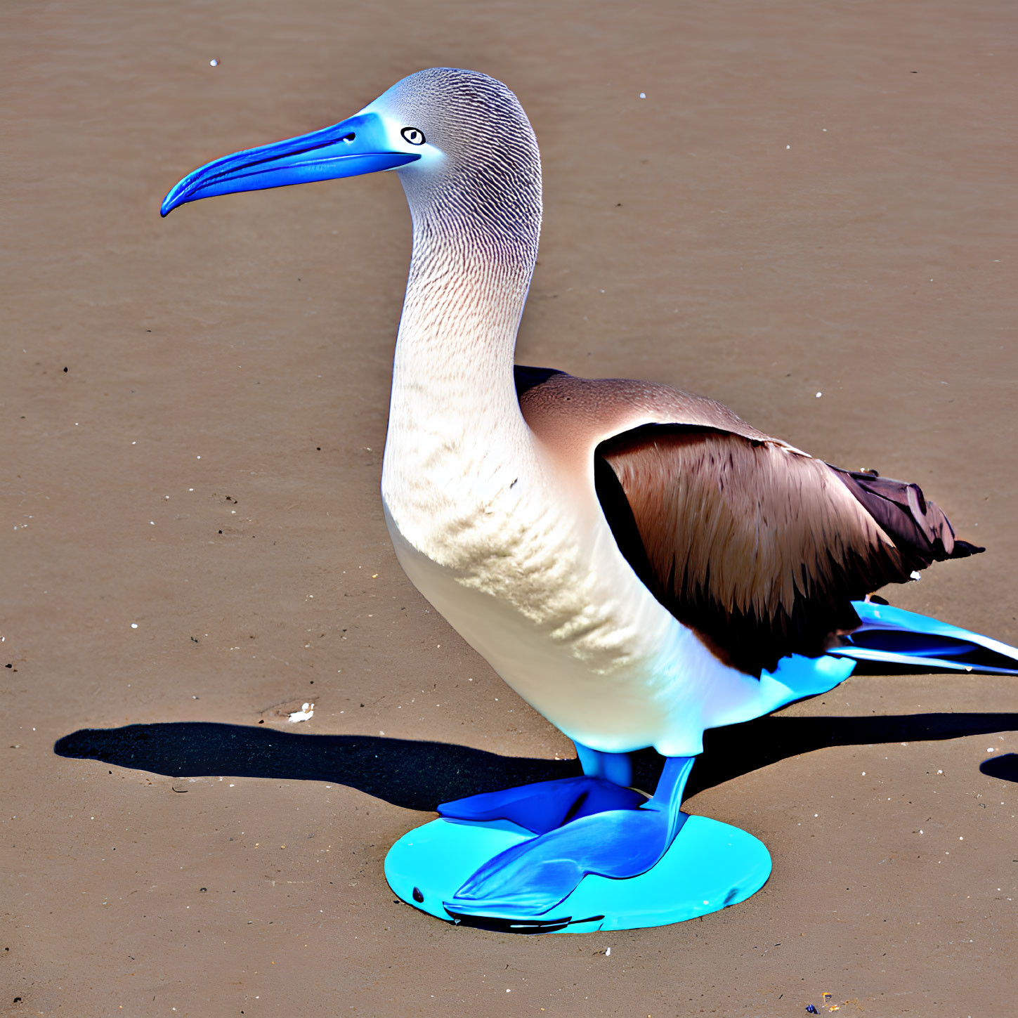 Colorful digital image of blue-footed booby on sandy terrain