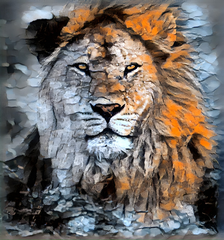 lion3