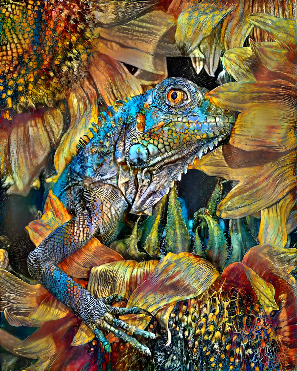 Blue Iguana