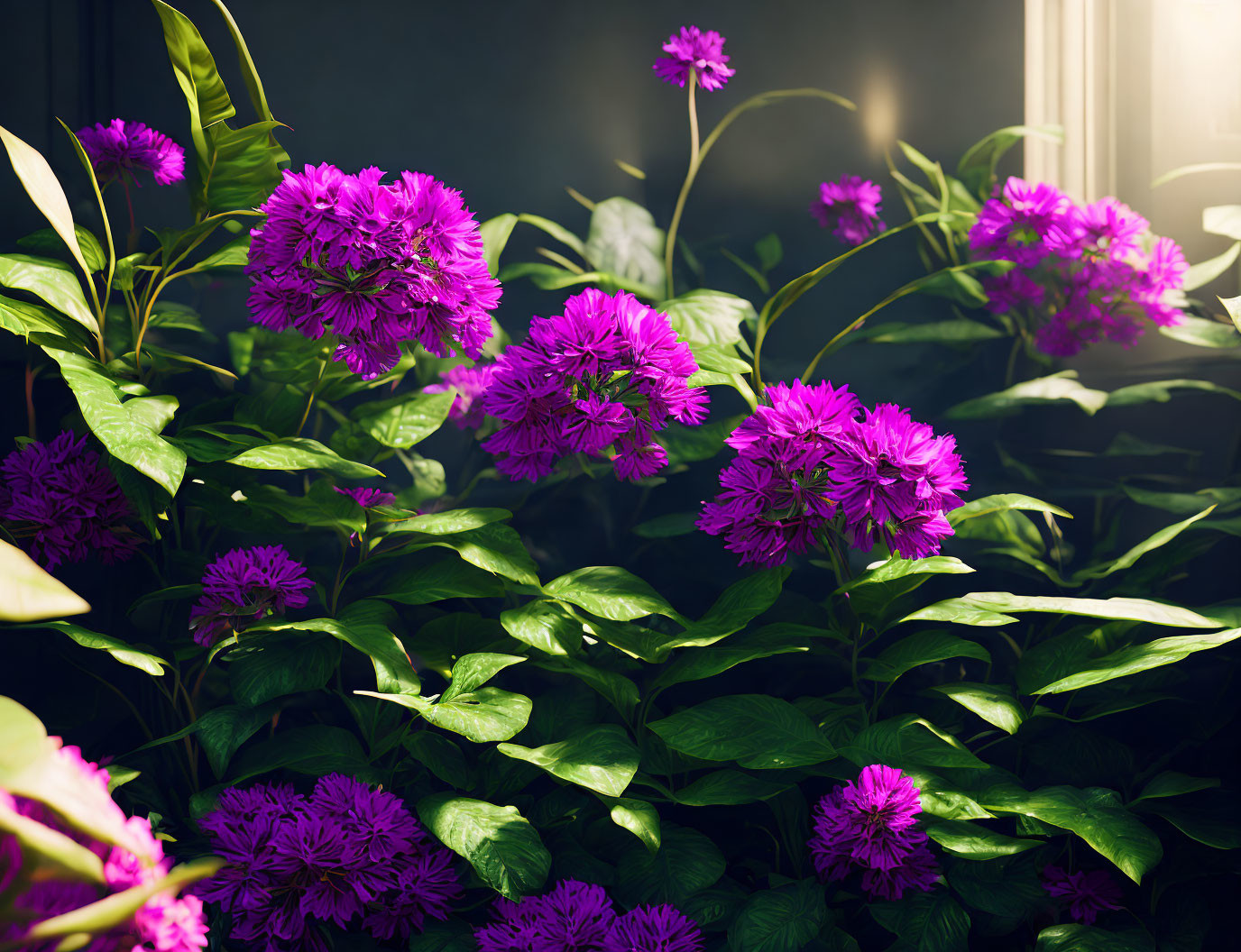 Lush Garden Scene with Vibrant Purple Flowers