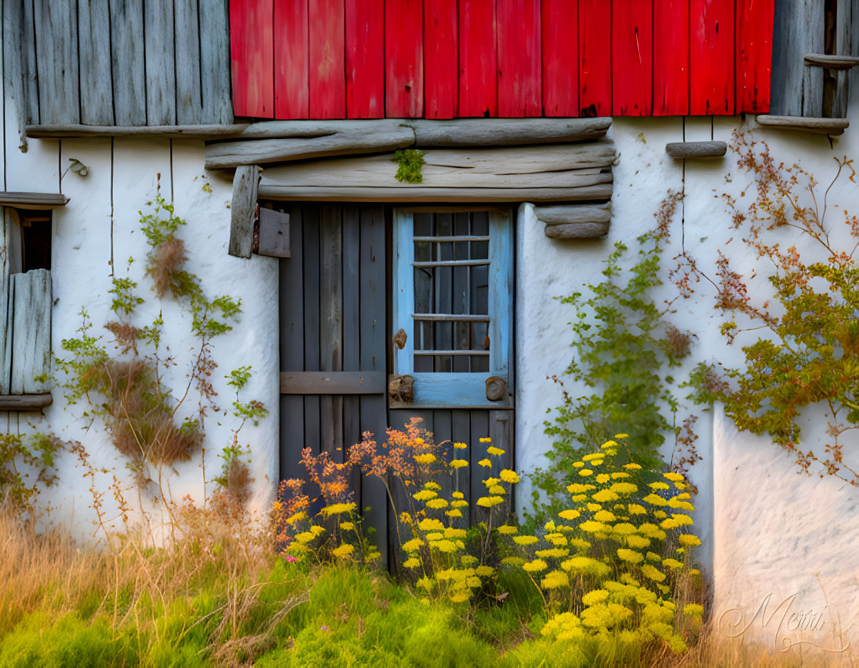 Barn Door.