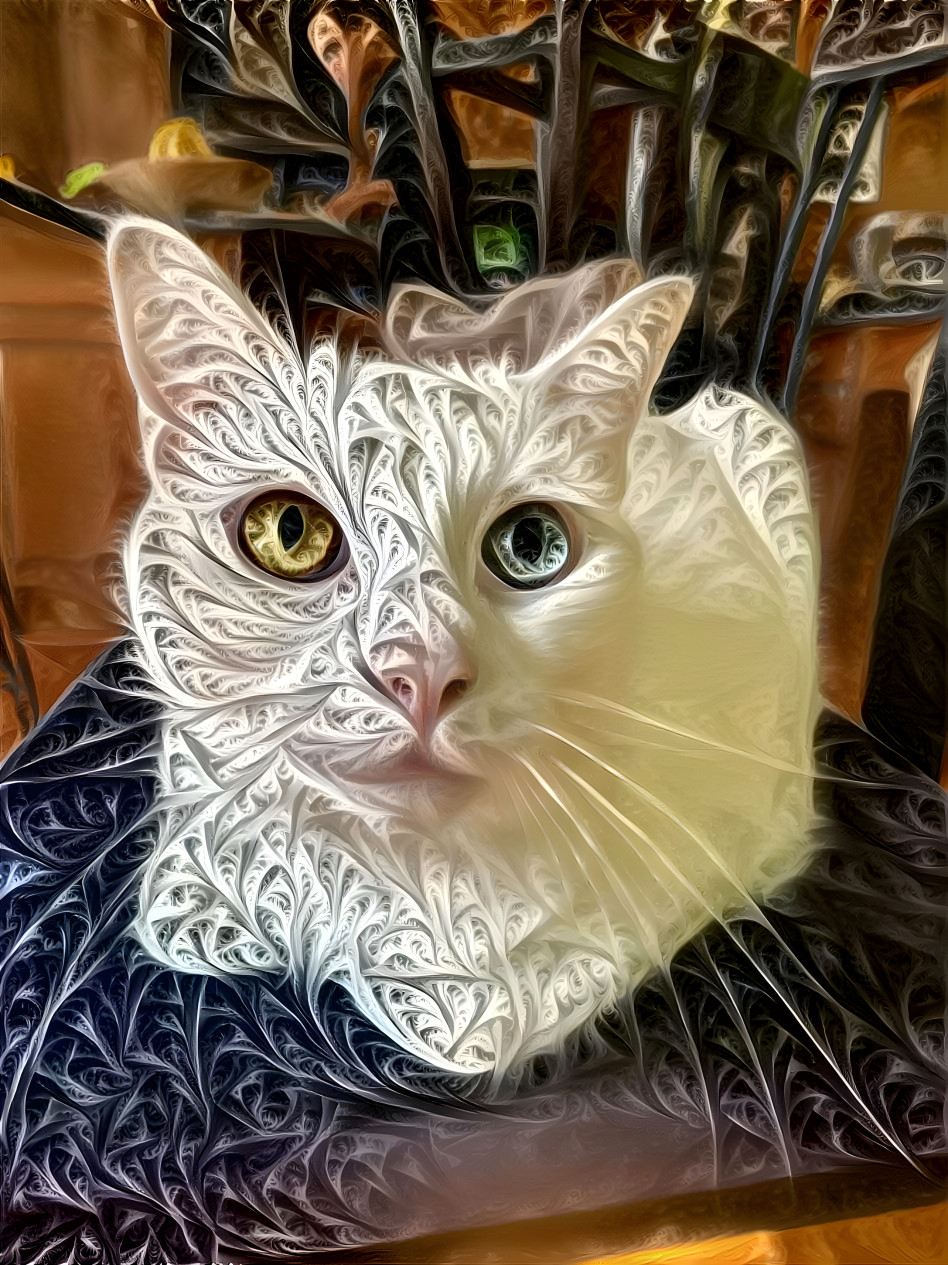 Fractal Feline