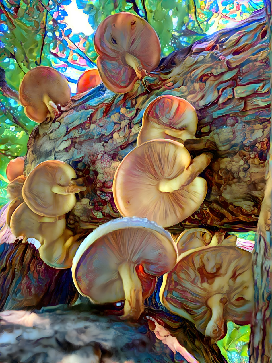 Shiitake Party