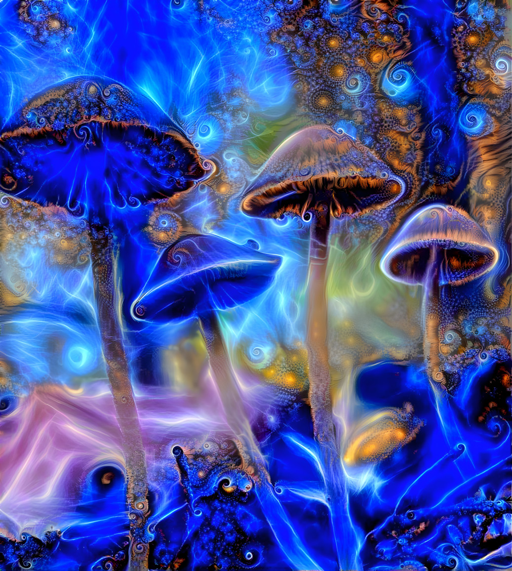 Fungi Fractals