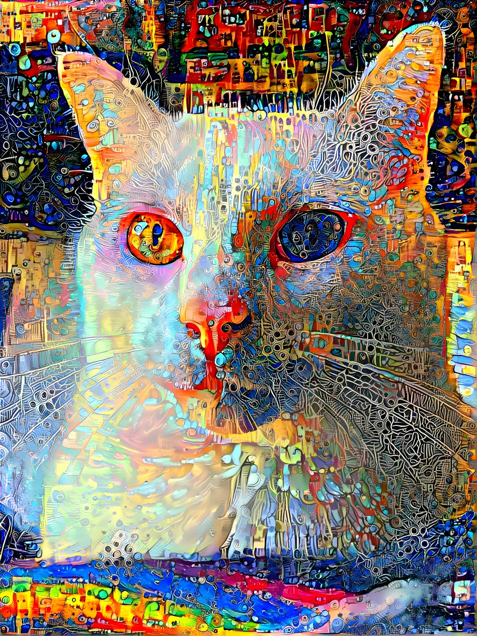 Space Kitty