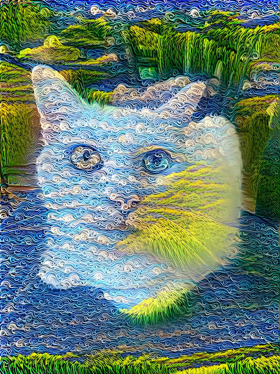 Feline Fantast