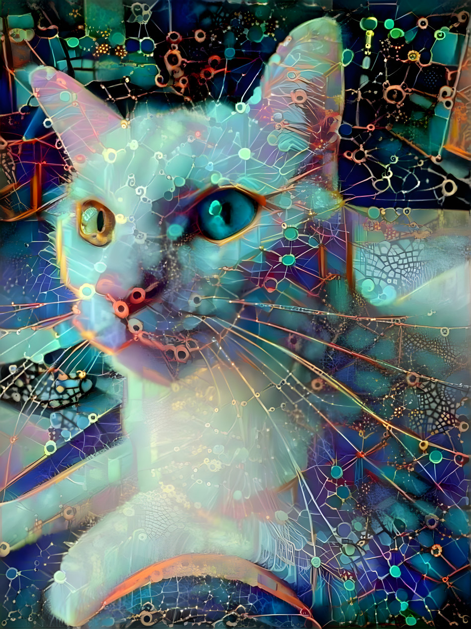 Trippy Kitty