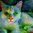 Colorful Psychedelic Cat Art Against Cosmic Background