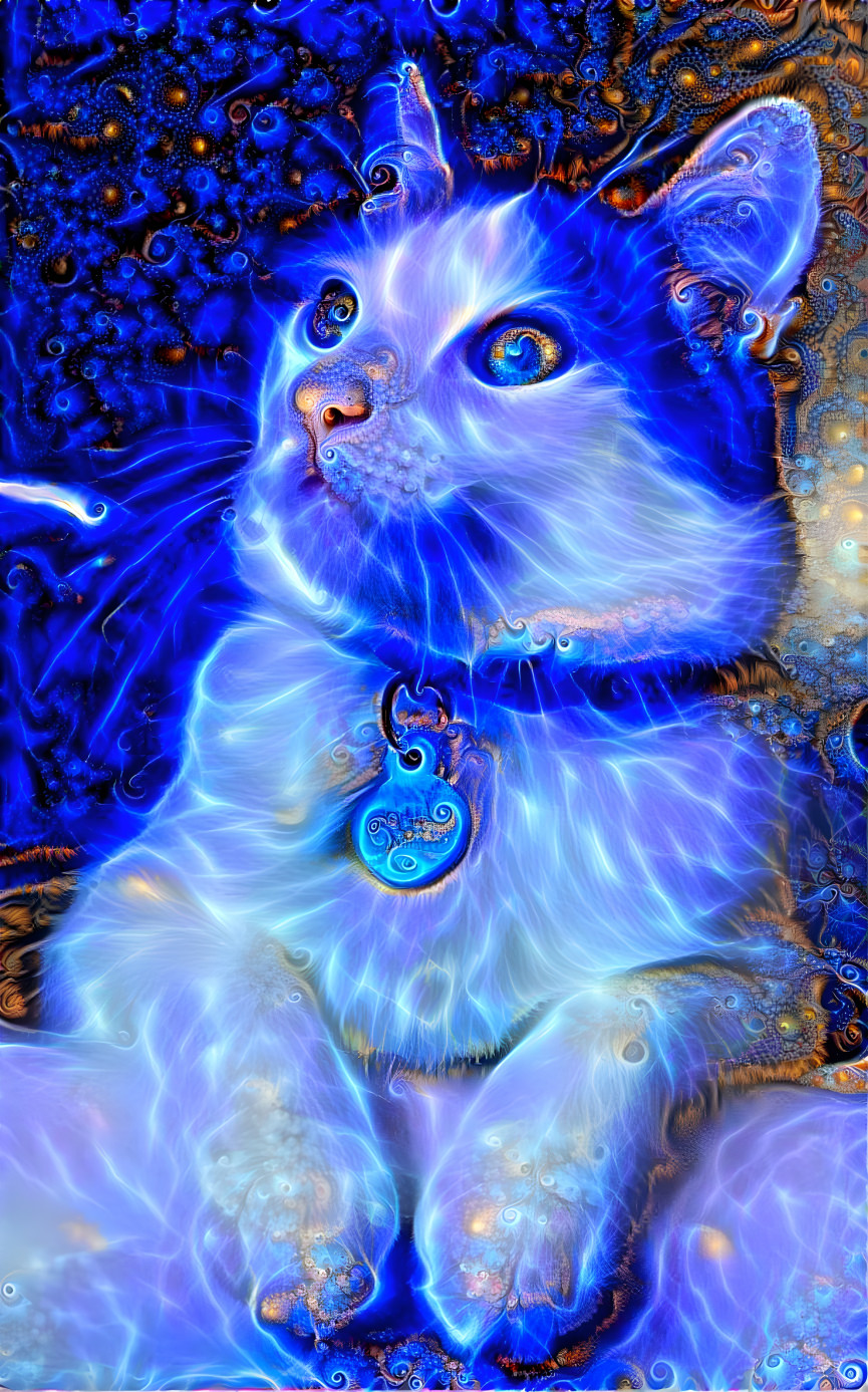 Cosmic Kitty