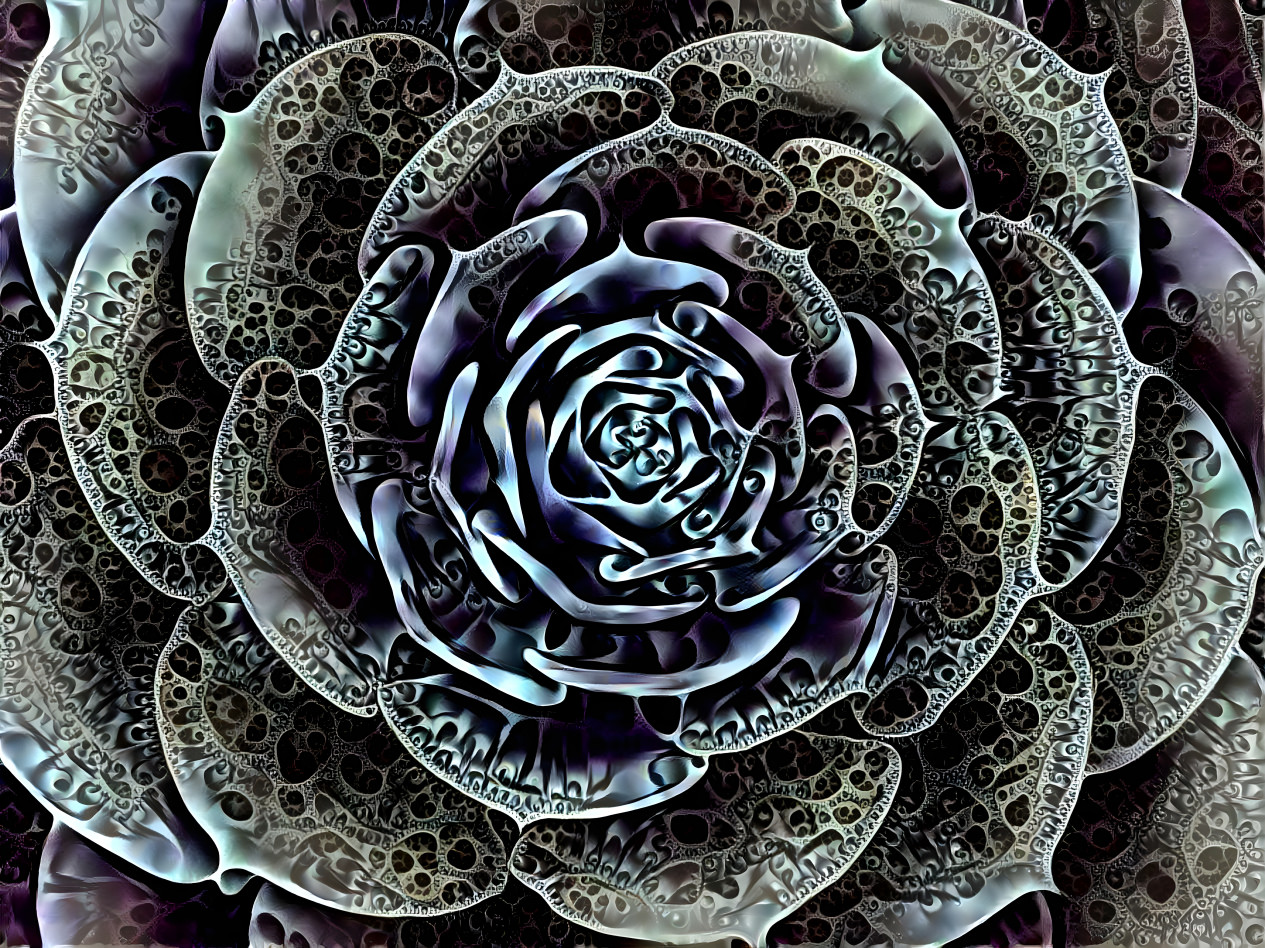 Fractilized Succulent