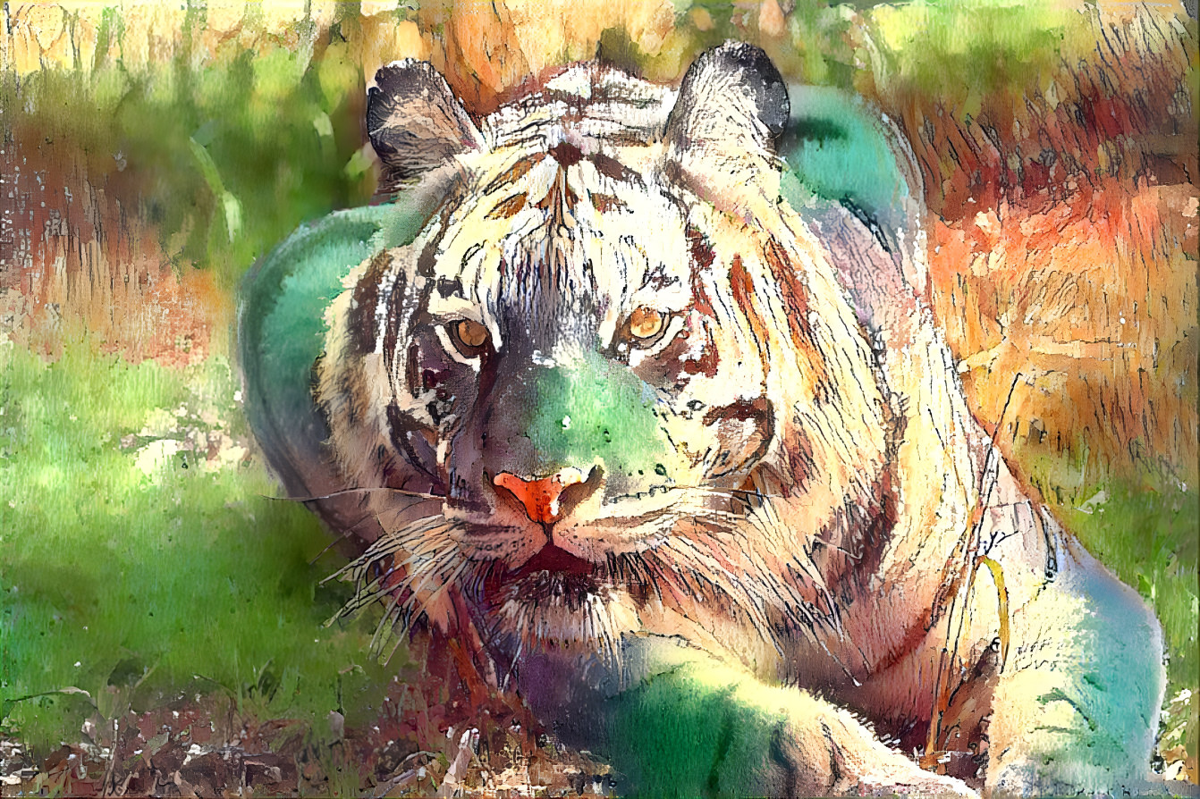 Maltese Tiger