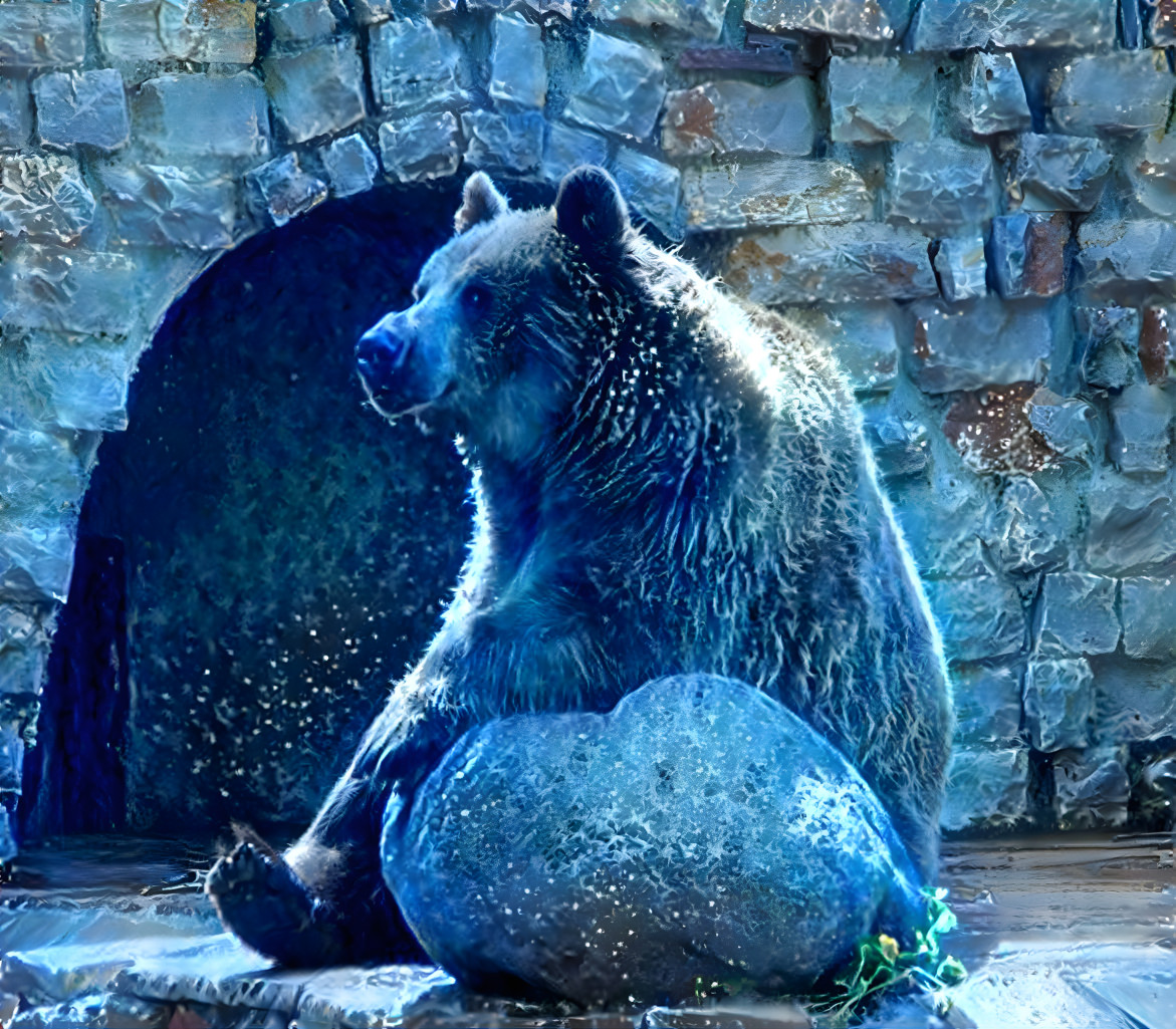 Beary Blue Boy